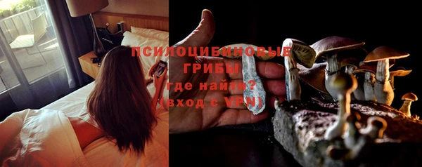 дурь Алексеевка