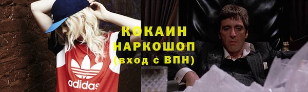 твердый Алзамай