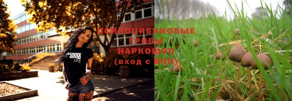 соль ск Абдулино