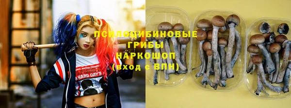 ECSTASY Абинск