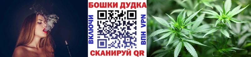 Бошки марихуана конопля  Королёв 